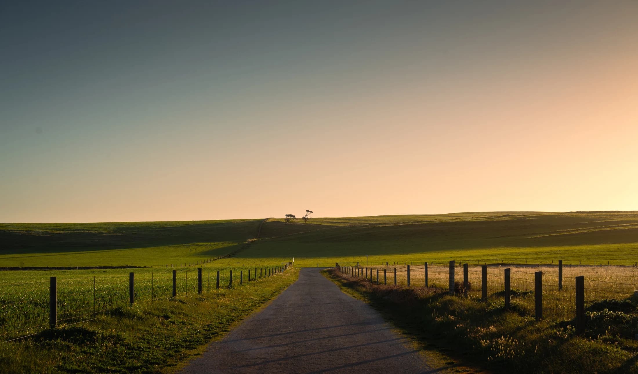 Country road through farmland at sunset, South Australia