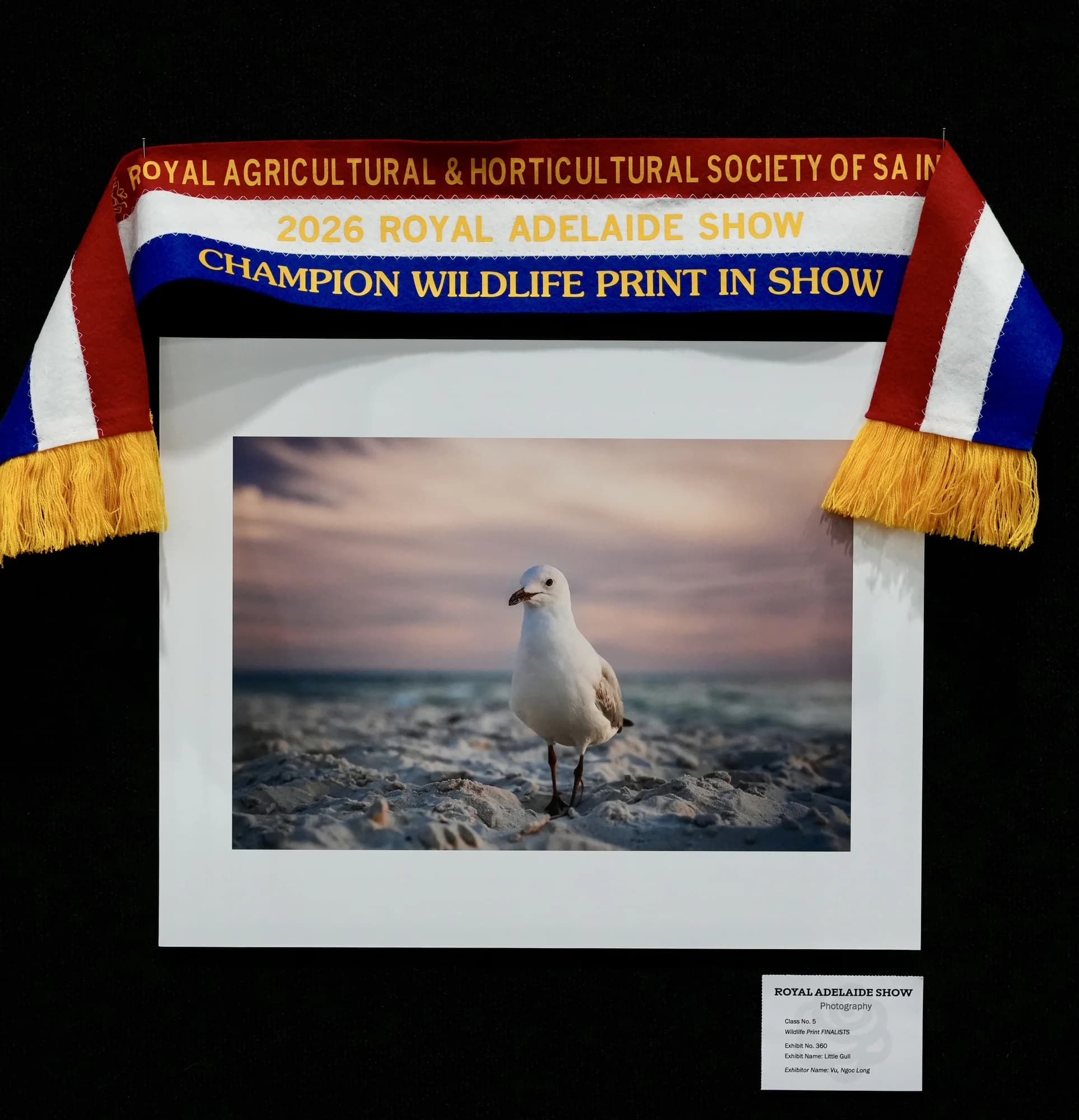 Close-up of the Champion Wildlife Print in Show ribbon and exhibit label