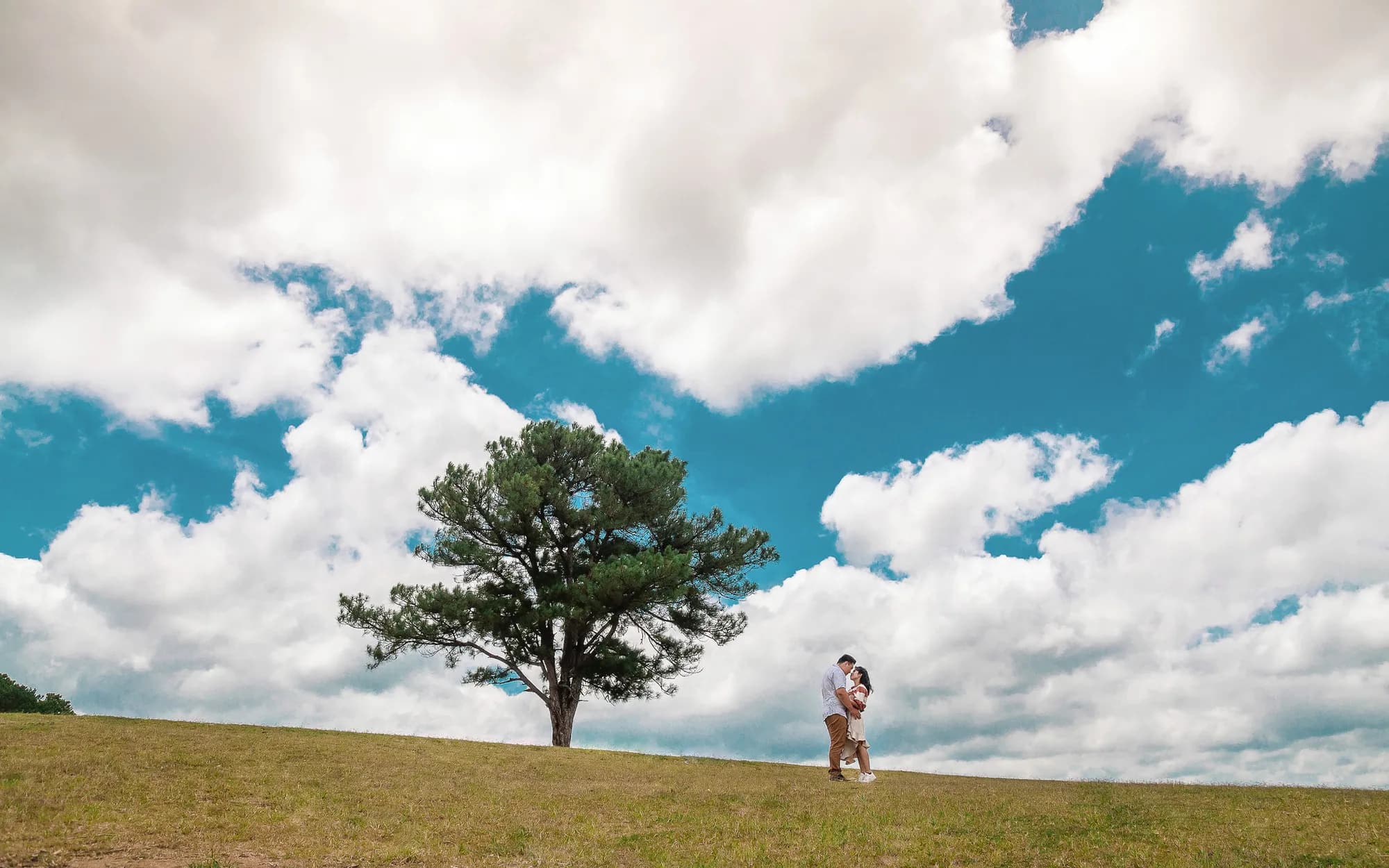 A couple embracing beneath a lone tree under a dramatic sky