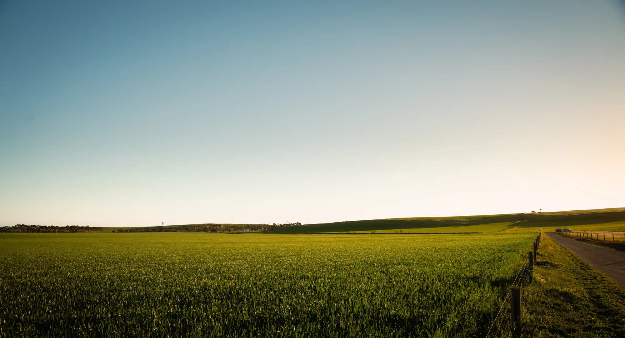 Green farmland stretching toward distant hills at sunset near Adelaide