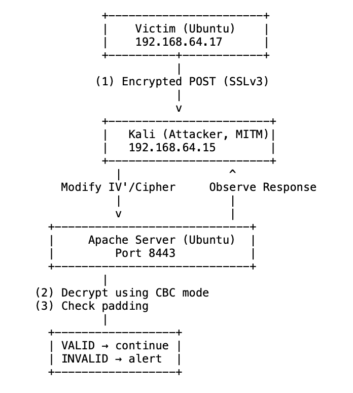 Lab network topology: an Ubuntu server, a Kali Linux attacker acting as MITM, and the padding-check flow between them